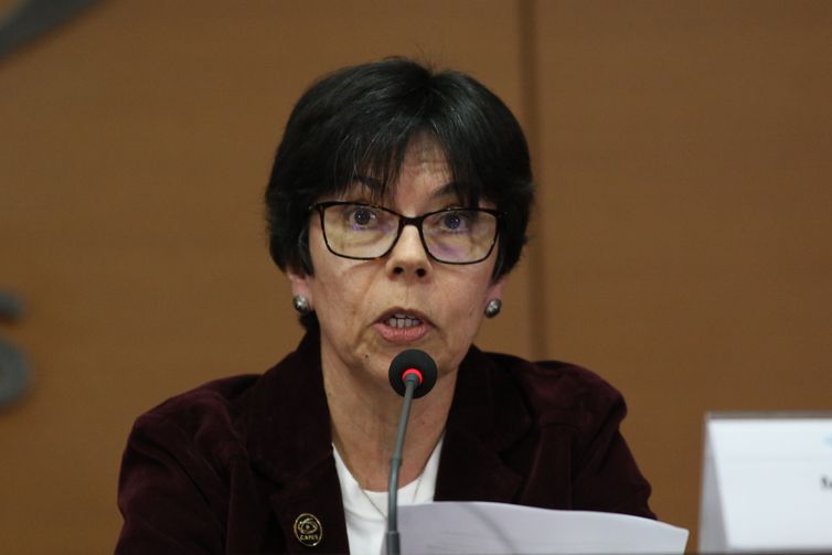 Conter desigualdade e formar professores devem ser prioridade da Capes